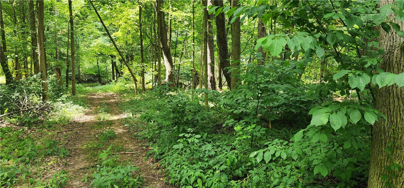 0 Hulberton Road Holley, NY 14470 - Photo 5 of 43