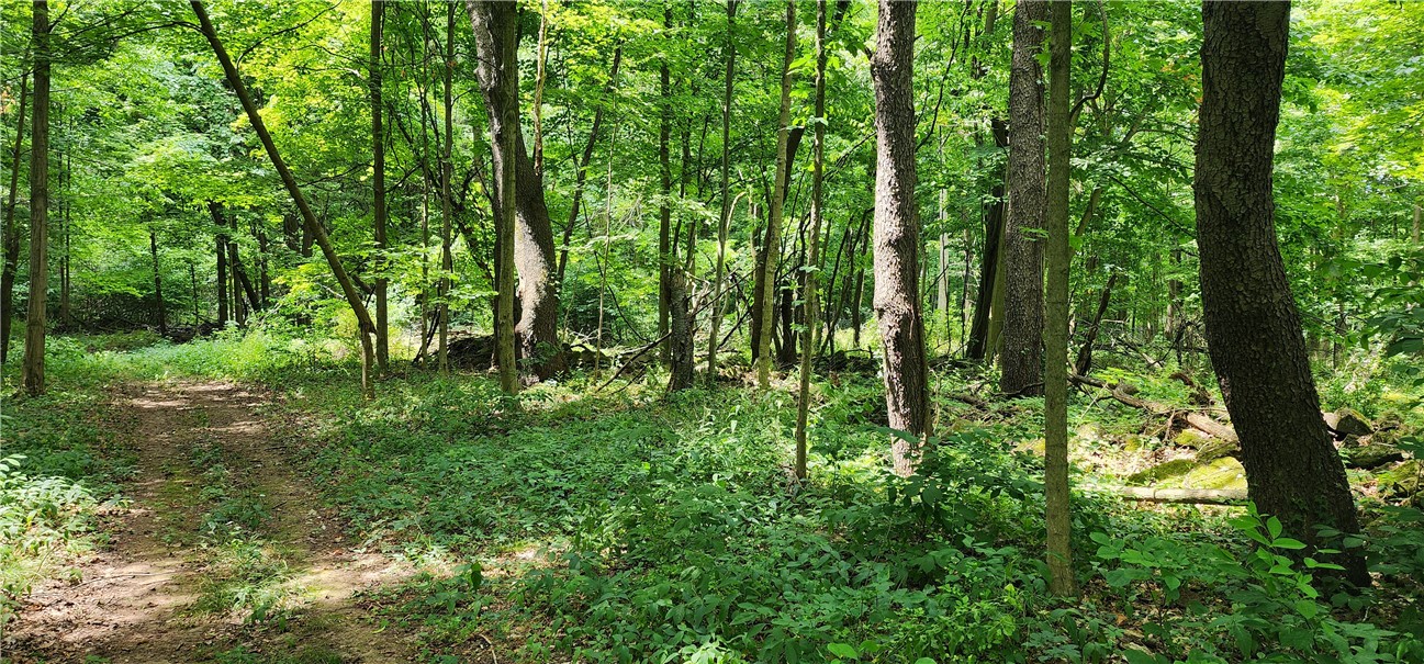 0 Hulberton Road Holley, NY 14470 - Photo 6 of 43