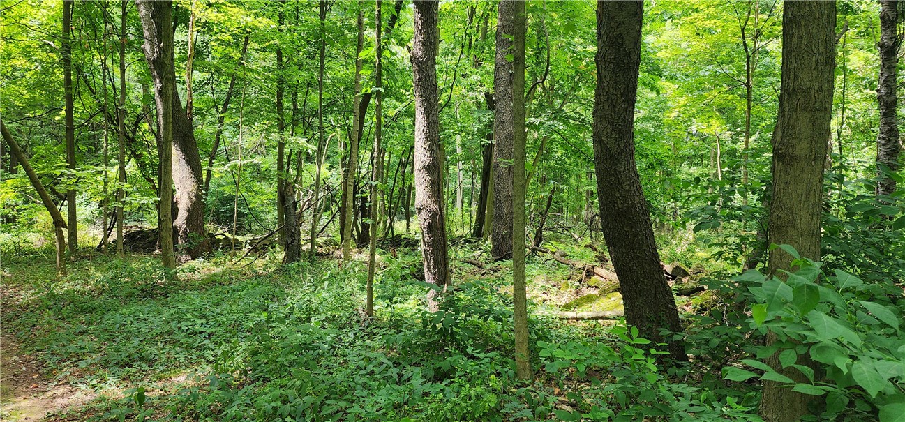 0 Hulberton Road Holley, NY 14470 - Photo 7 of 43