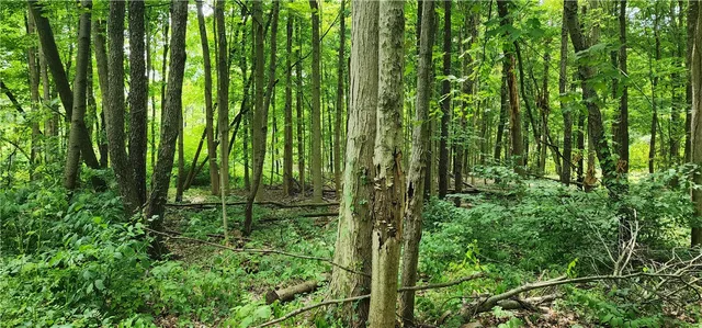 $180,000 | 0 Hulberton Road, Holley, NY 14470