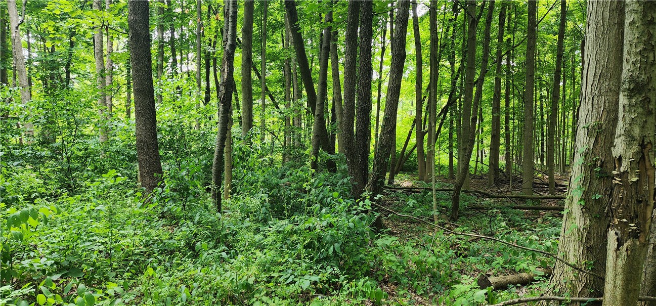 0 Hulberton Road Holley, NY 14470 - Photo 9 of 43