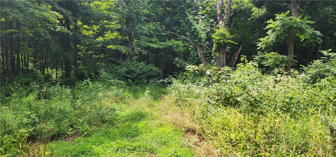 0 Hulberton Road Holley, NY 14470 - Photo 10 of 43