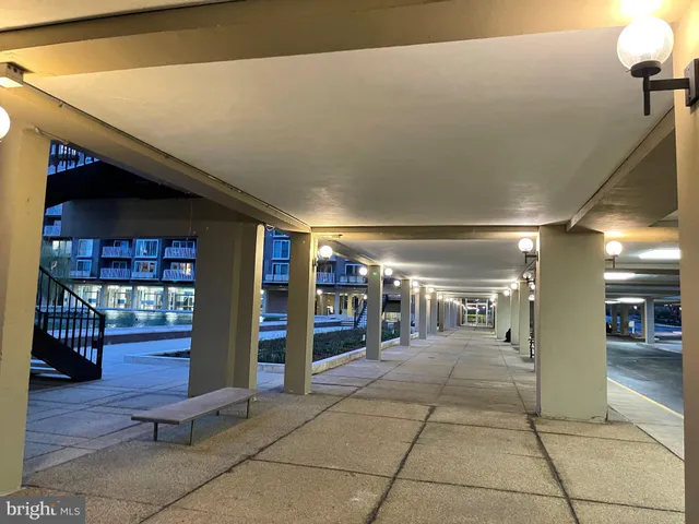 a view of a lake with boats and palm trees