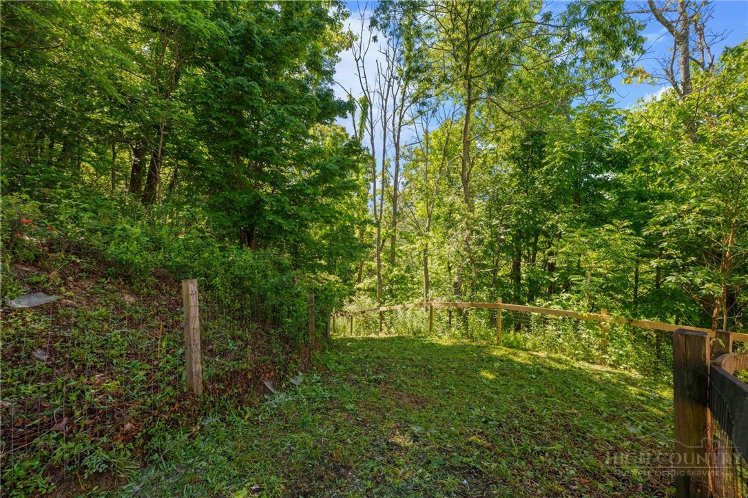 2163 Phillips Gap Road West Jefferson, NC 28694 - Photo 41 of 47