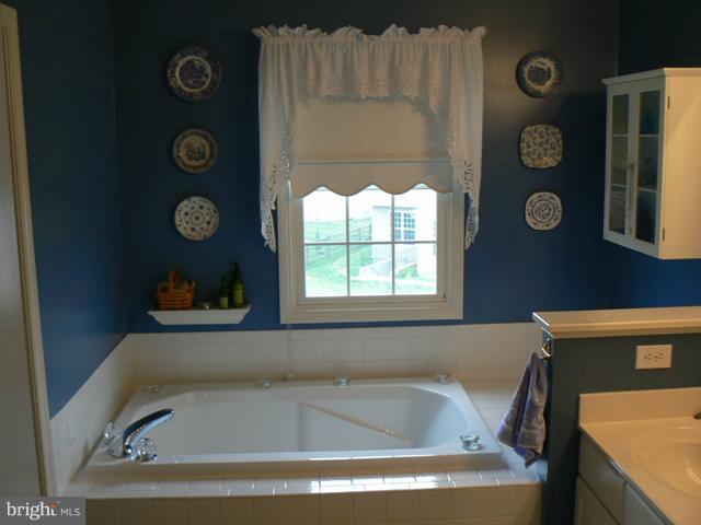 1739 Canal Run Drive Point of Rocks, MD 21777 - Photo 6 of 30 a bathroom with a tub and a window