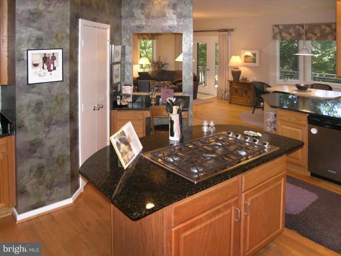 11344 Woodbrook Lane Reston, VA 20194 - Photo 14 of 30 Kitchen #3
