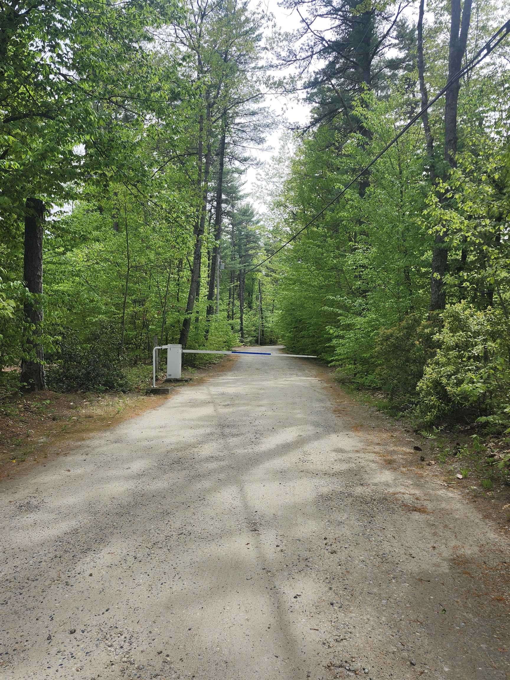 Lot 7 Pine Road East Wakefield, NH 03830 - Photo 11 of 11