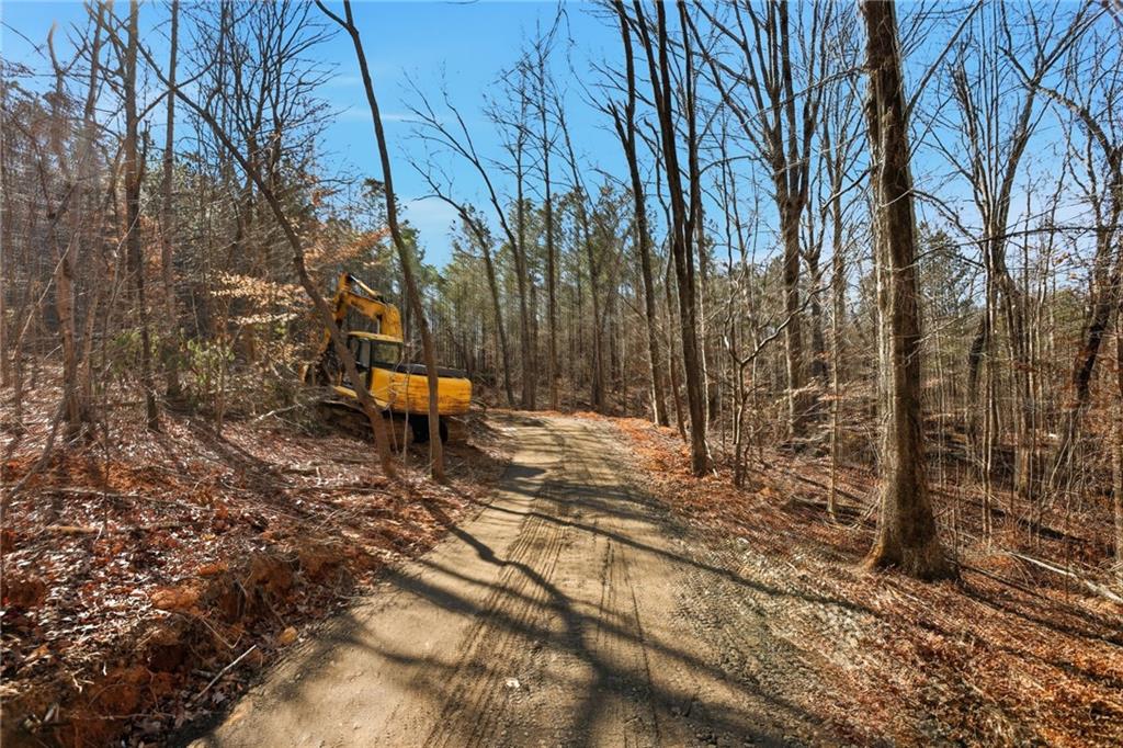 5.130 Acres On Orlando Path Dallas, GA 30157 - Photo 4 of 17 a bench is sitting in middle of the forest