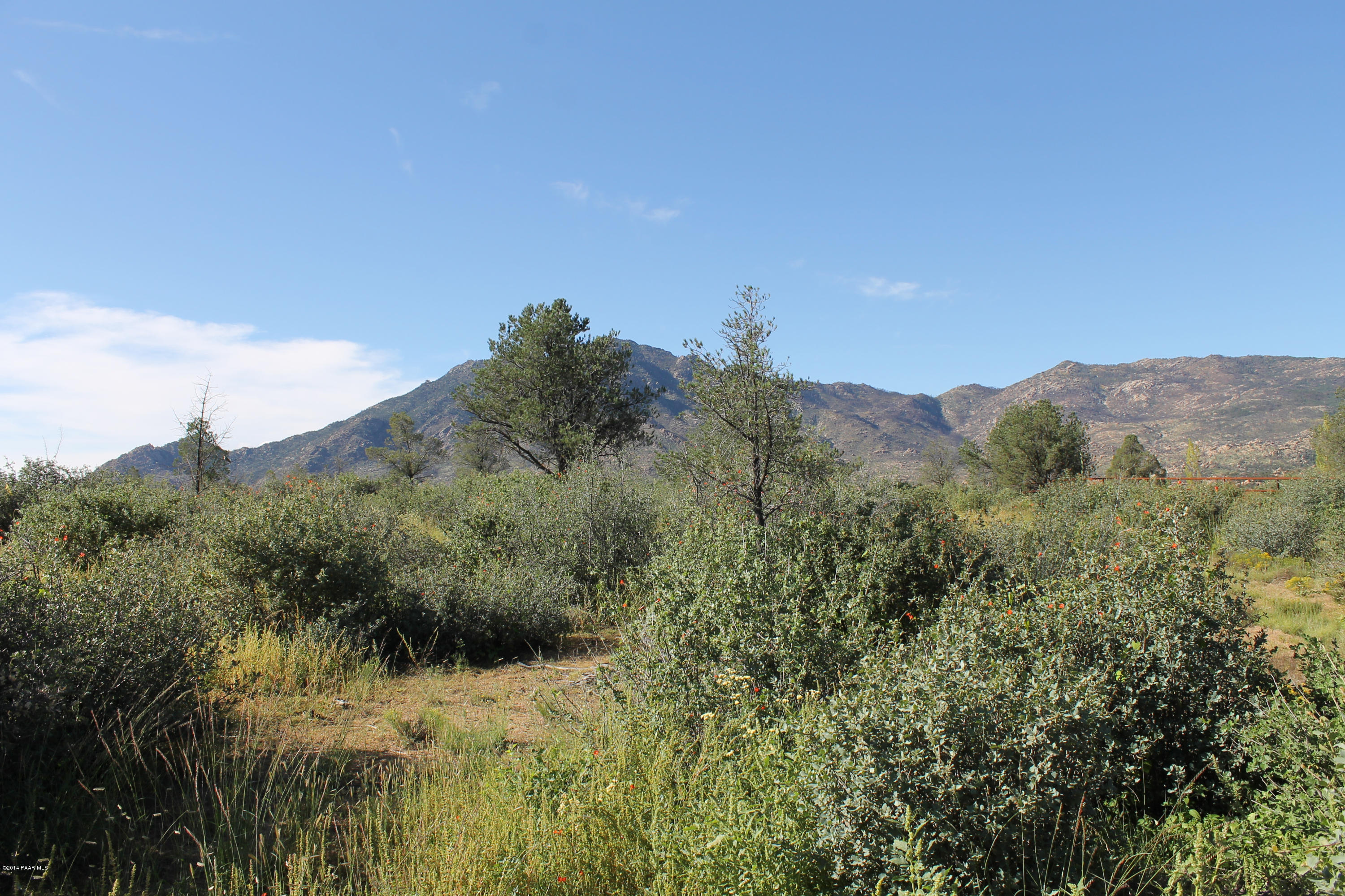 9430 North Equine Road Prescott, AZ 86305 - Photo 2 of 8 IMG_1139