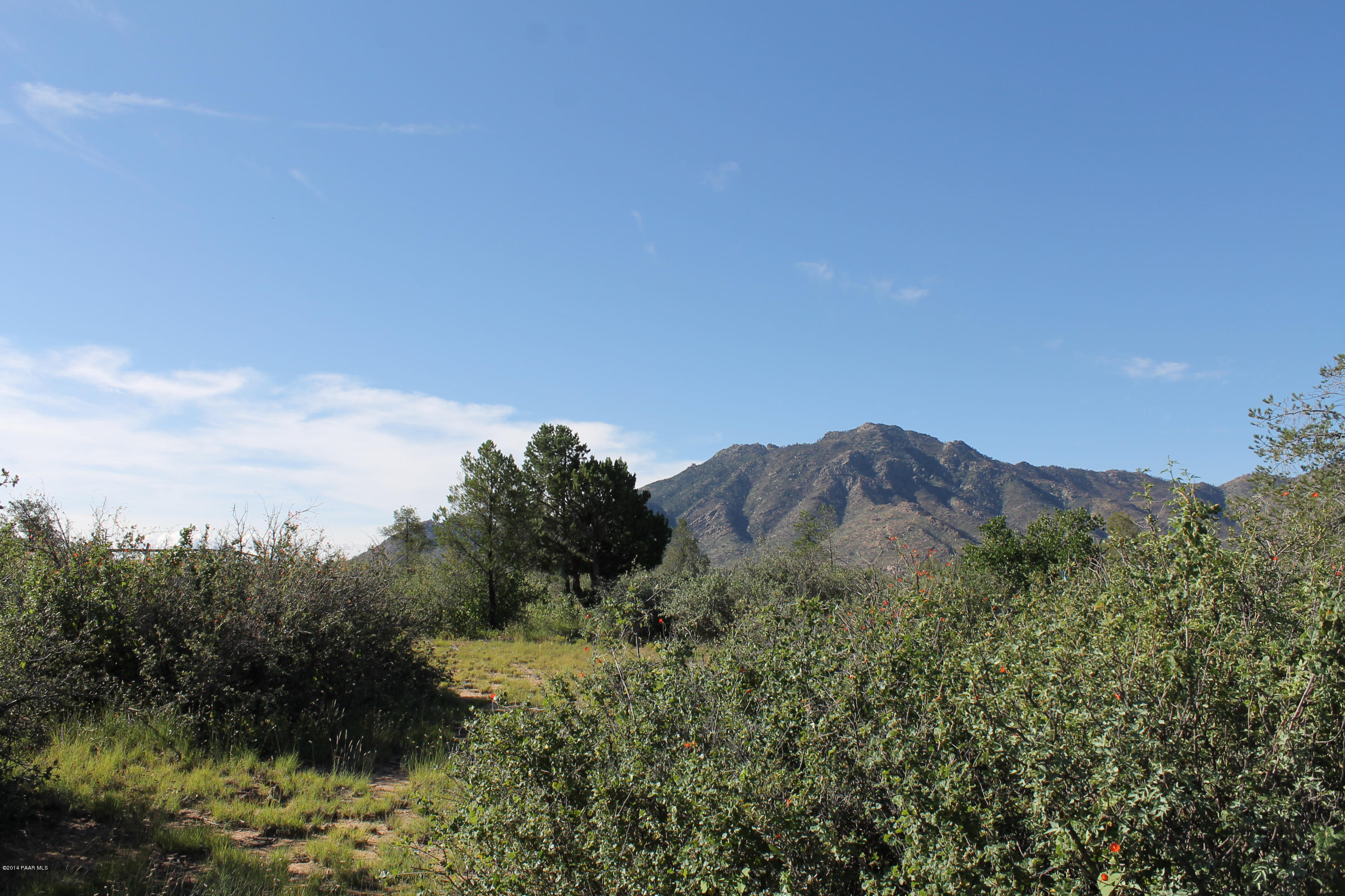 9430 North Equine Road Prescott, AZ 86305 - Photo 5 of 8 IMG_1142