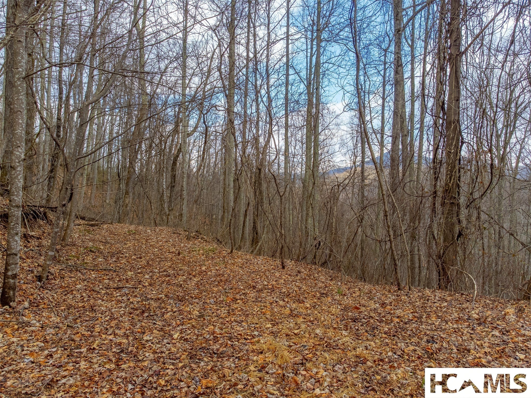 1241 Henry Road Franklin, NC 28734 - Photo 42 of 67 Gallery Image 42