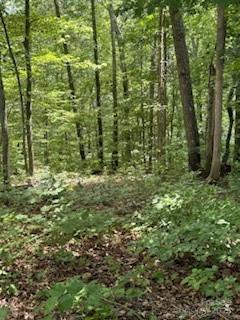 22 Signature Row Boulevard Waynesville, NC 28785 - Photo 3 of 14