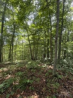 22 Signature Row Boulevard Waynesville, NC 28785 - Photo 4 of 14