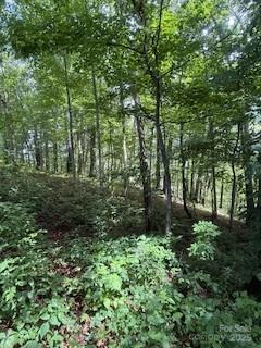 22 Signature Row Boulevard Waynesville, NC 28785 - Photo 5 of 14