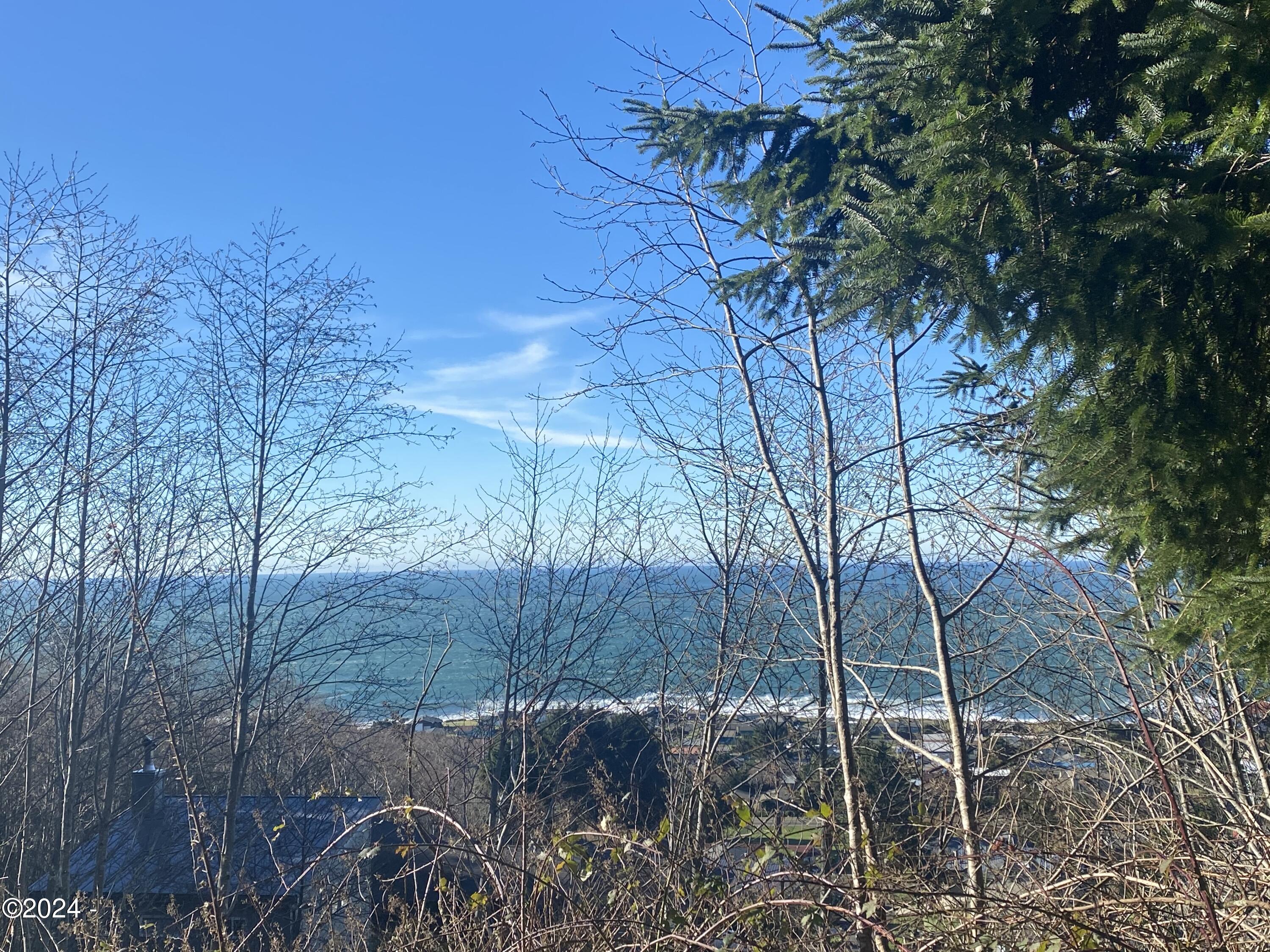 2400 Elk Mountain Road Yachats, OR 97498 - Photo 5 of 11 Top of lot