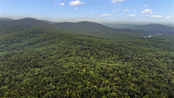 1519 Tipton Springs Road Morganton, GA 30560 - Photo 15 of 46 a view of a town with mountains in the background