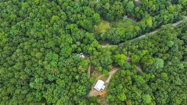 1519 Tipton Springs Road Morganton, GA 30560 - Photo 22 of 46 a view of a lush green forest with lots of trees