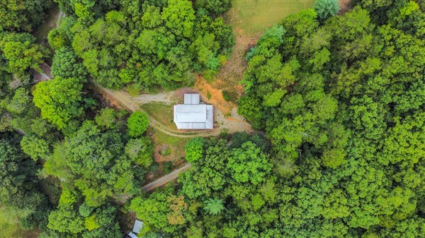 1519 Tipton Springs Road Morganton, GA 30560 - Photo 24 of 46 a view of a house with a yard and trees
