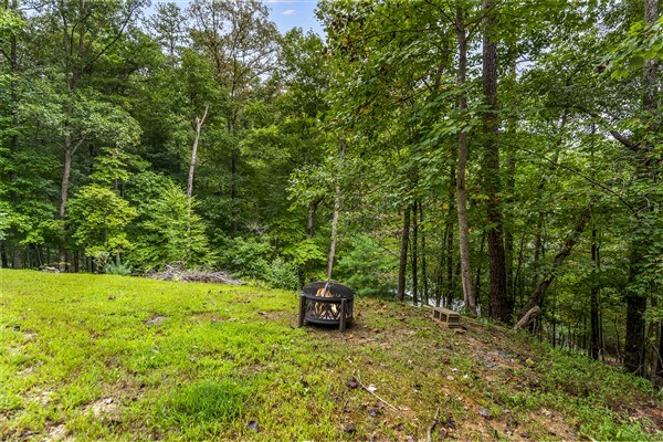 1519 Tipton Springs Road Morganton, GA 30560 - Photo 35 of 46 a backyard of a house with parked cars