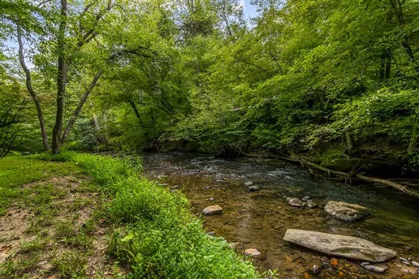 a view of a backyard