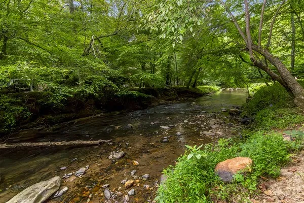 a view of a lake with large trees
