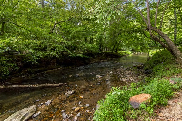 1519 Tipton Springs Road Morganton, GA 30560 - Photo 39 of 46 a view of a backyard
