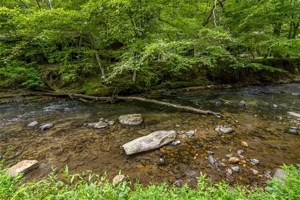 a big yard with lots of green space and deers