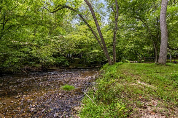 1519 Tipton Springs Road Morganton, GA 30560 - Photo 41 of 46 a big yard with lots of green space and deers