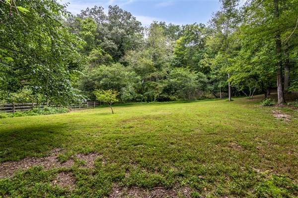 1519 Tipton Springs Road Morganton, GA 30560 - Photo 43 of 46 a view of a field with a tree in the background