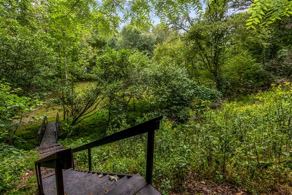 1519 Tipton Springs Road Morganton, GA 30560 - Photo 45 of 46 a view of a wooden fence and trees