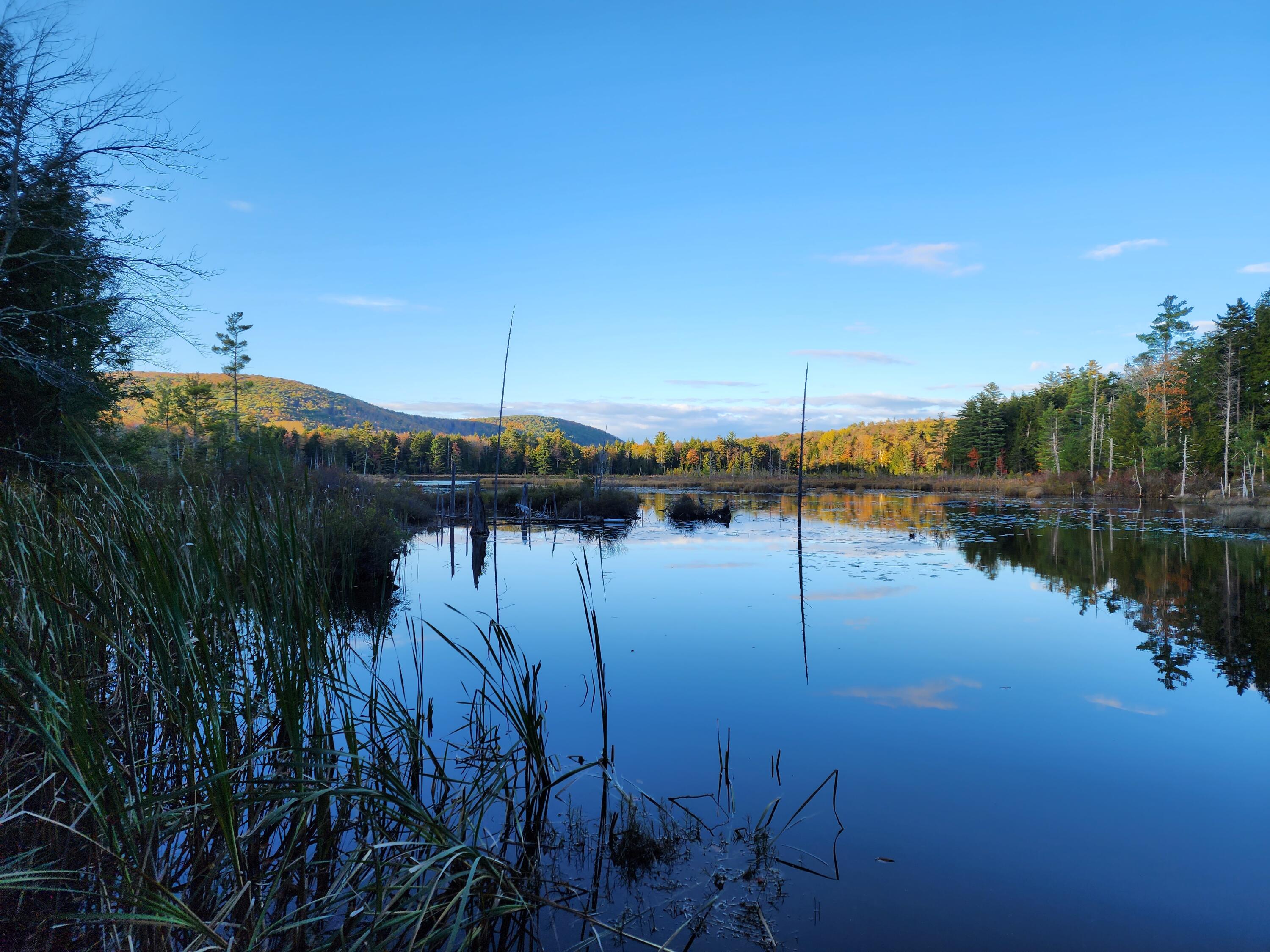 104 Drake Pond Road Jackson, ME 04921 - Photo 27 of 31 20231014_165149