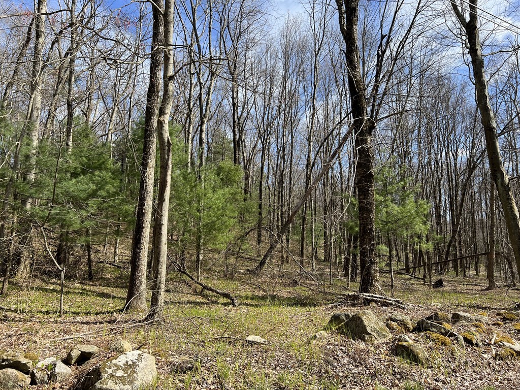 Lot 3 Cote Road Monson, MA 01057 - Photo 1 of 2