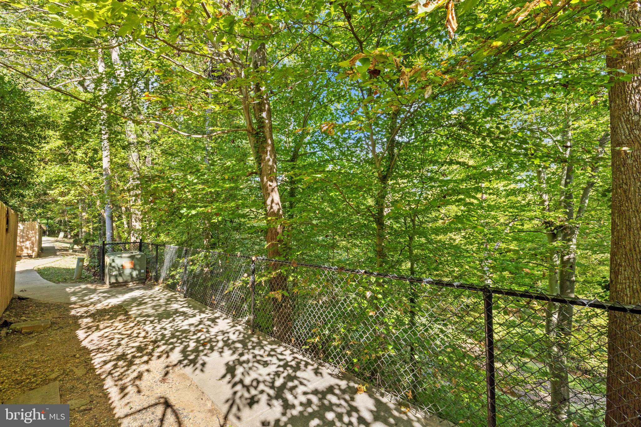 6517 Orono Court Springfield, VA 22152 - Photo 54 of 64 a view of a yard with plants and large trees