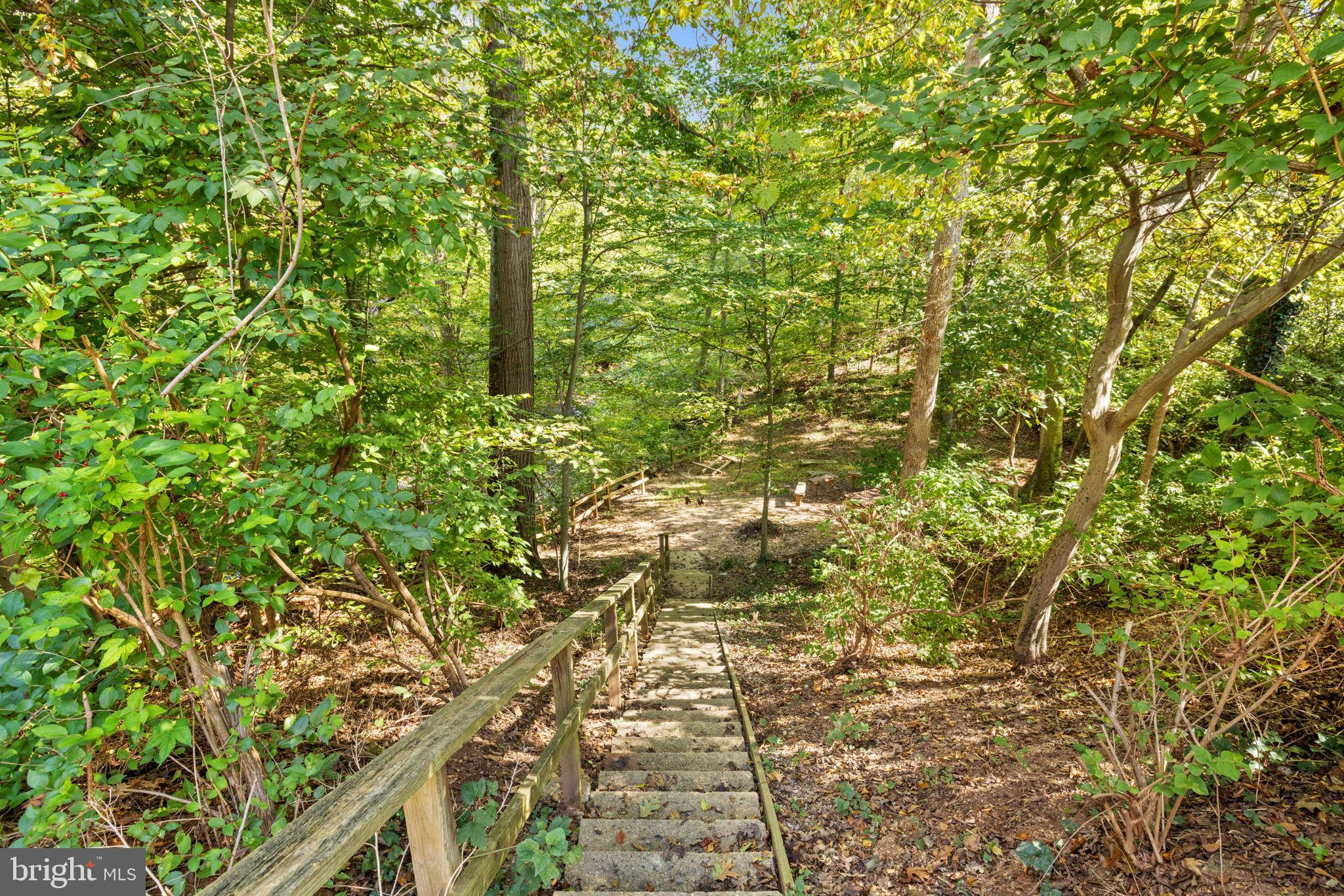 6517 Orono Court Springfield, VA 22152 - Photo 55 of 64 a close up of a plant
