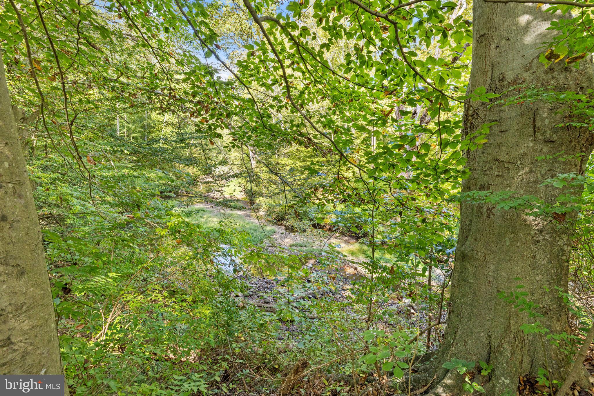 6517 Orono Court Springfield, VA 22152 - Photo 56 of 64 a view of a plants in middle of a garden