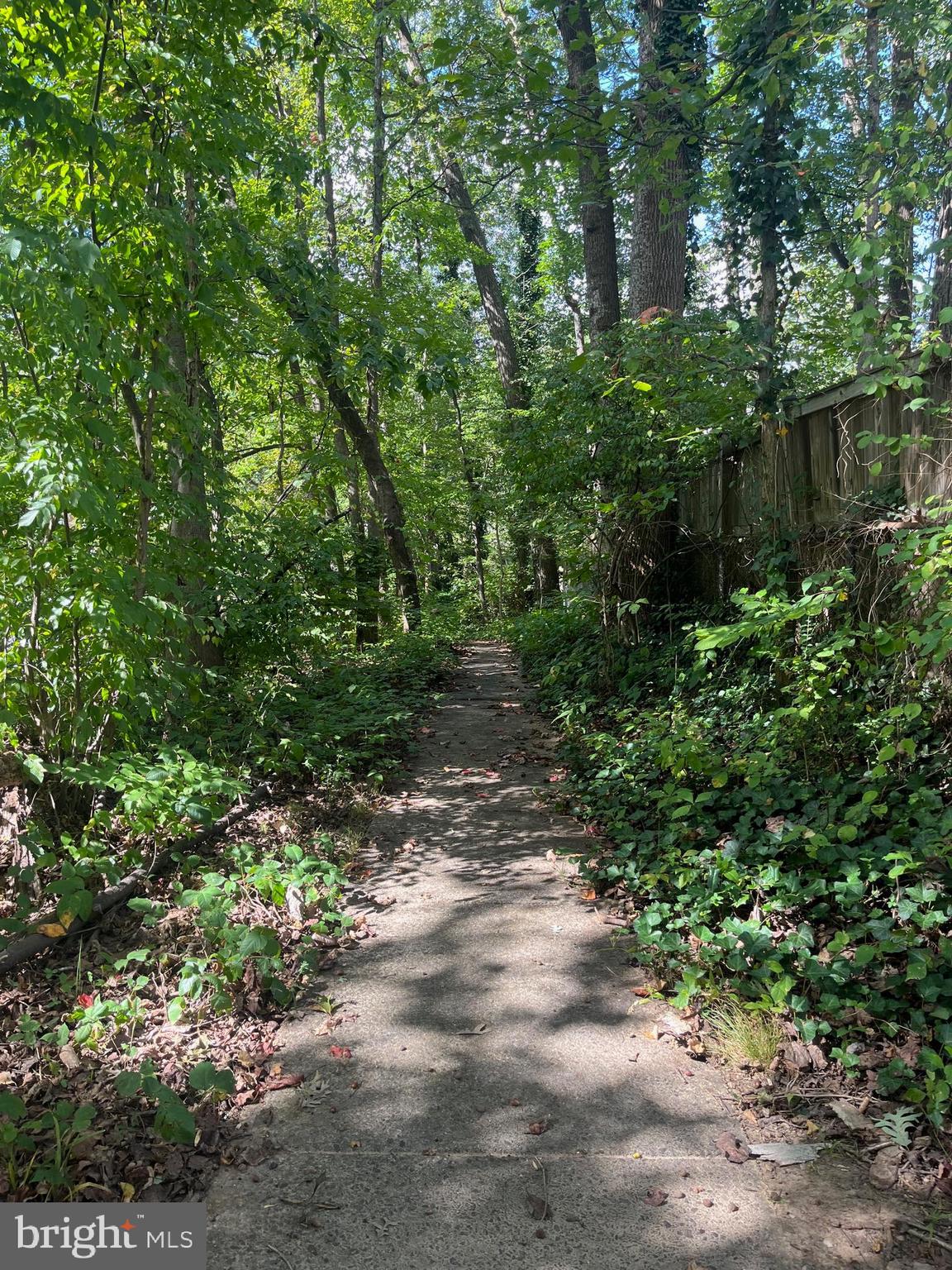6517 Orono Court Springfield, VA 22152 - Photo 60 of 64 Wooded path