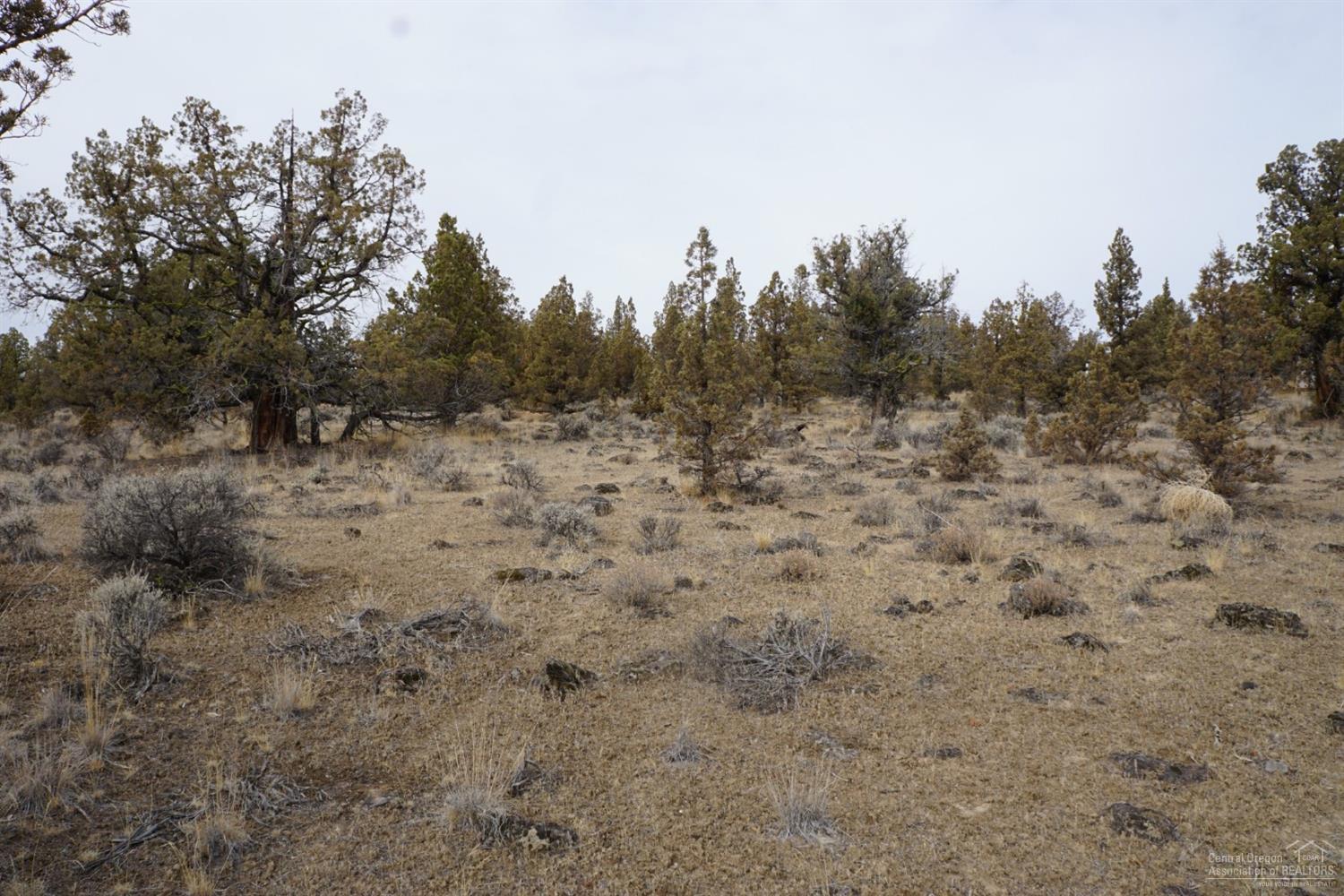 0 Southeast Omaha Road Prineville, OR 97754 - Photo 4 of 10 Additional Photo