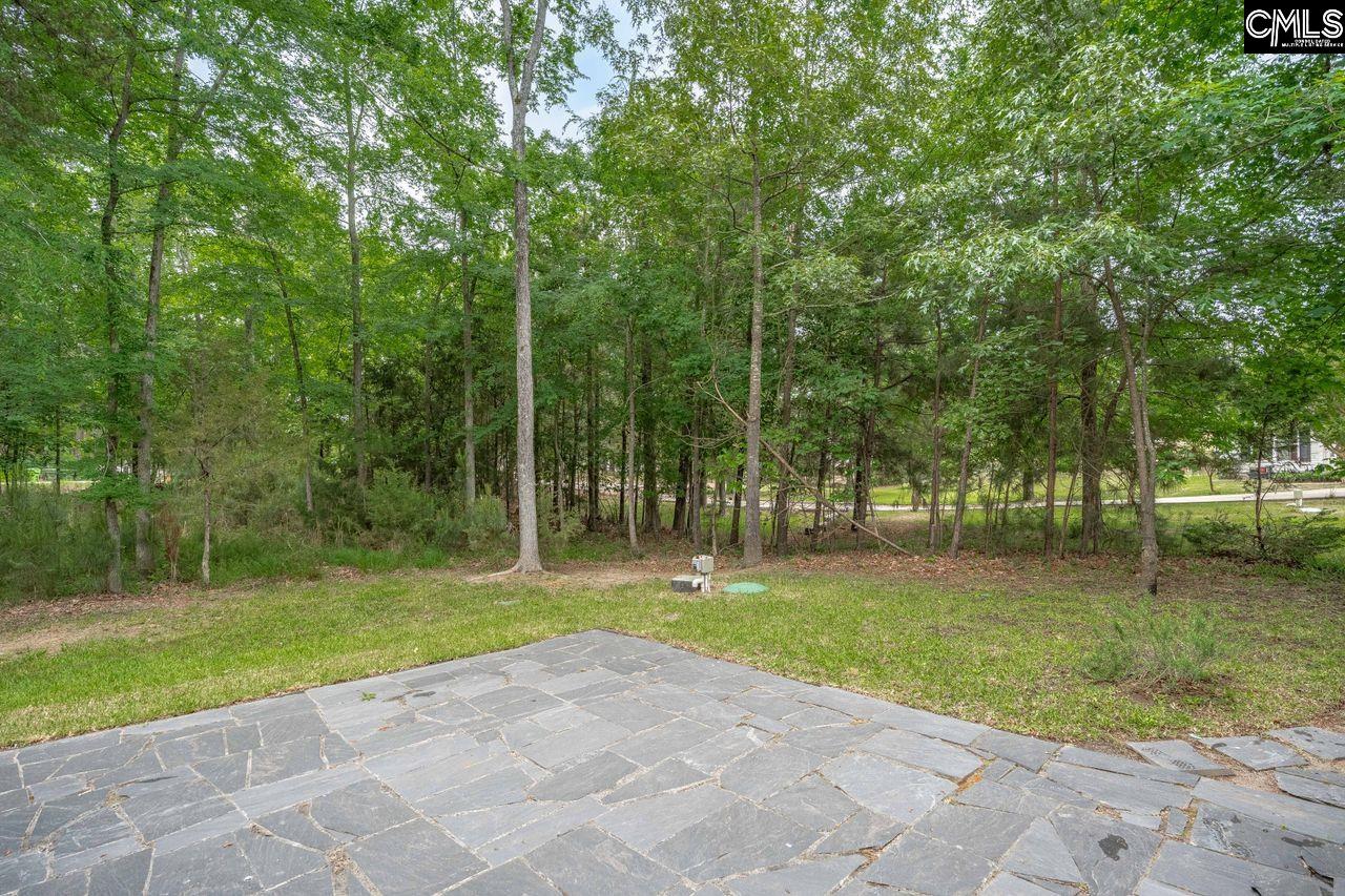 1209 Richard Franklin Road Chapin, SC 29036 - Photo 23 of 26 Gallery Image 23