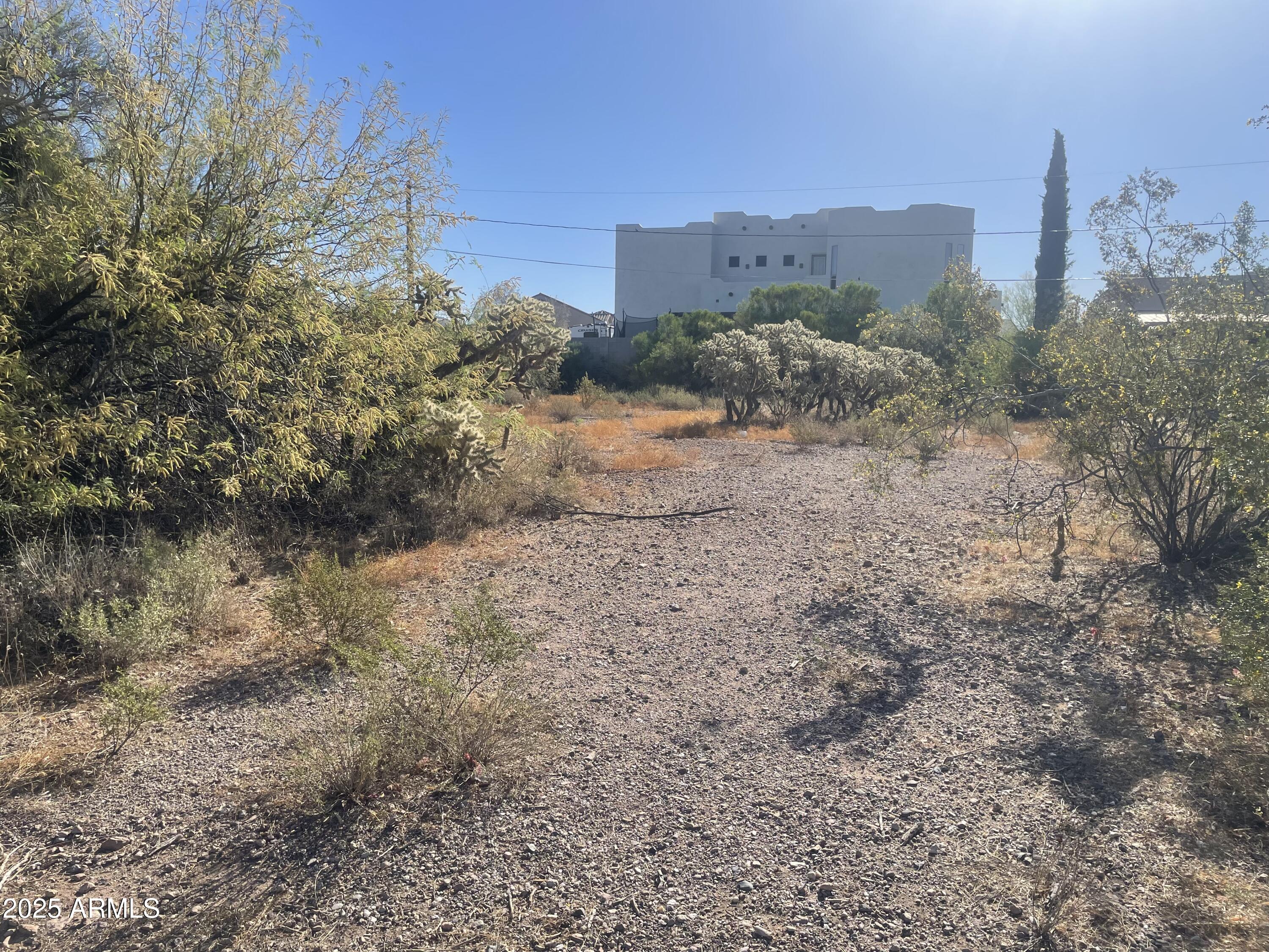 a view of a dry yard with a house