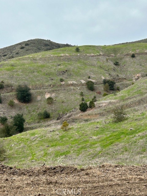 15 Camino Gatillo Road Temecula, CA 92590 - Photo 6 of 9