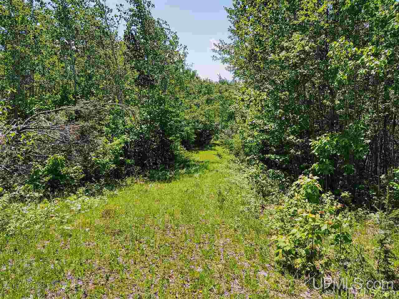 Tbd Co Rd Fp Republic, MI 49879 - Photo 7 of 33