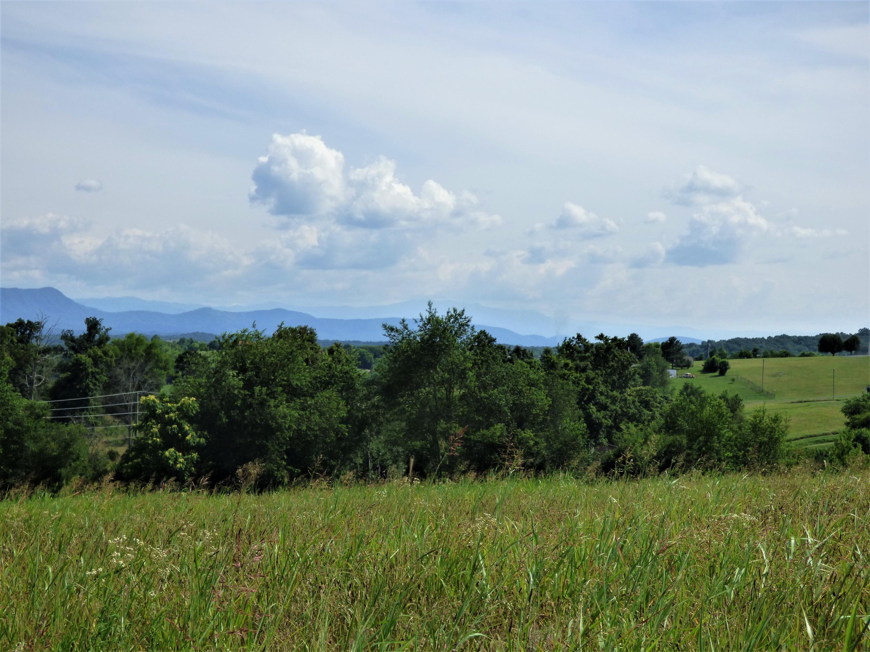 Lot 3 Falcon Road White Pine, TN 37890 - Photo 3 of 10 P1190285