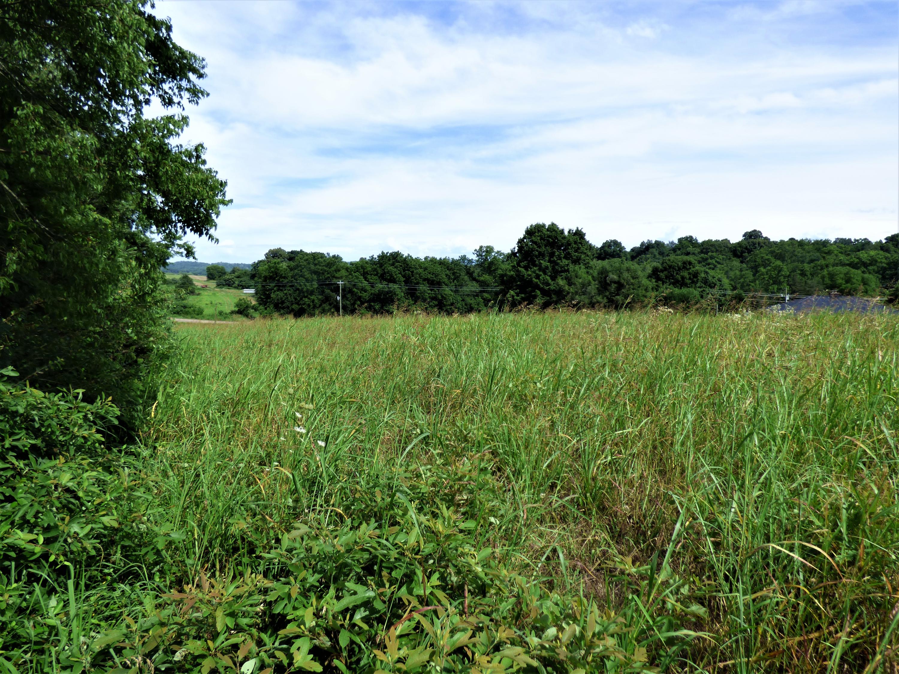 Lot 3 Falcon Road White Pine, TN 37890 - Photo 4 of 10 P1190280