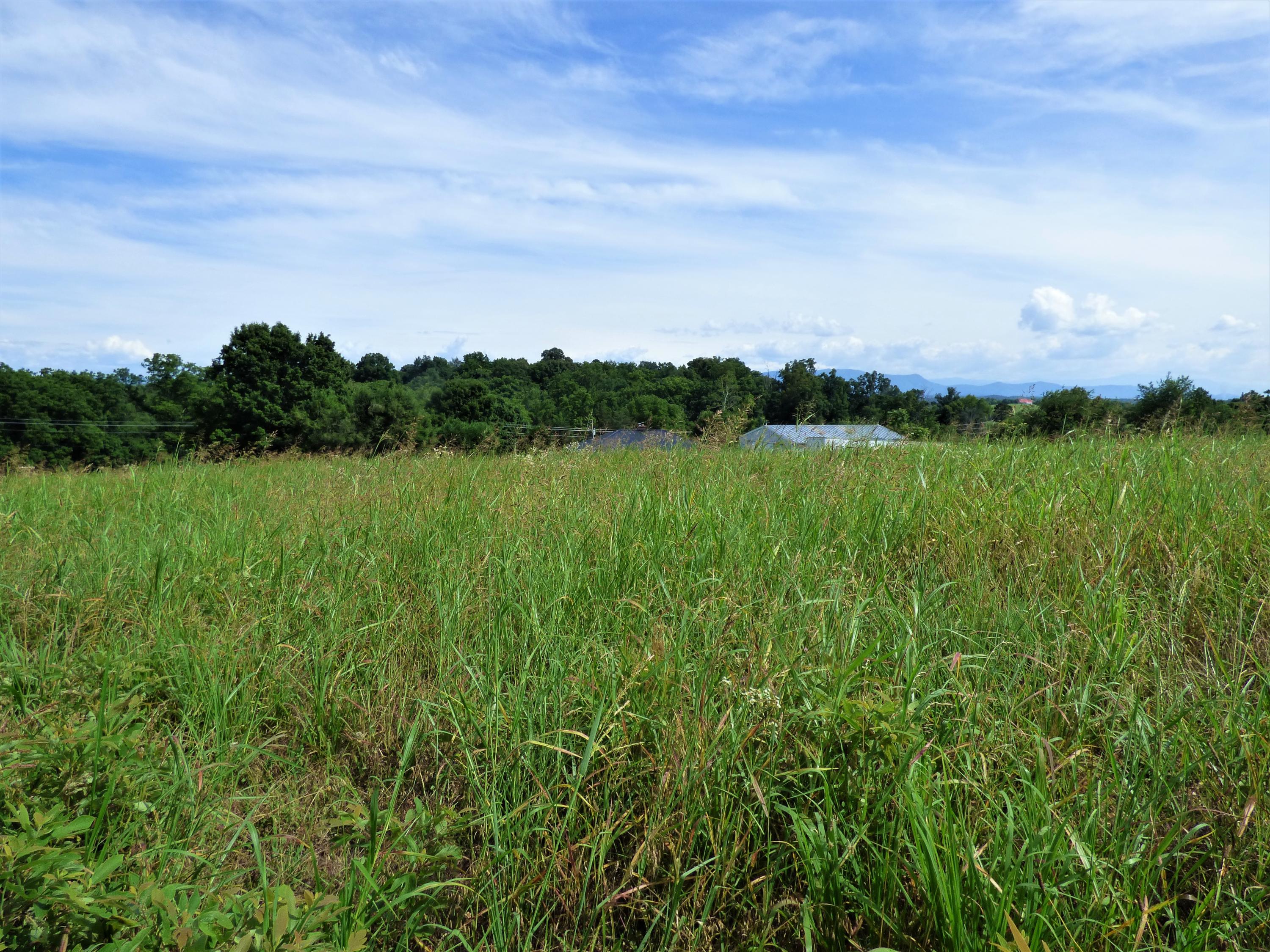 Lot 3 Falcon Road White Pine, TN 37890 - Photo 5 of 10 P1190281
