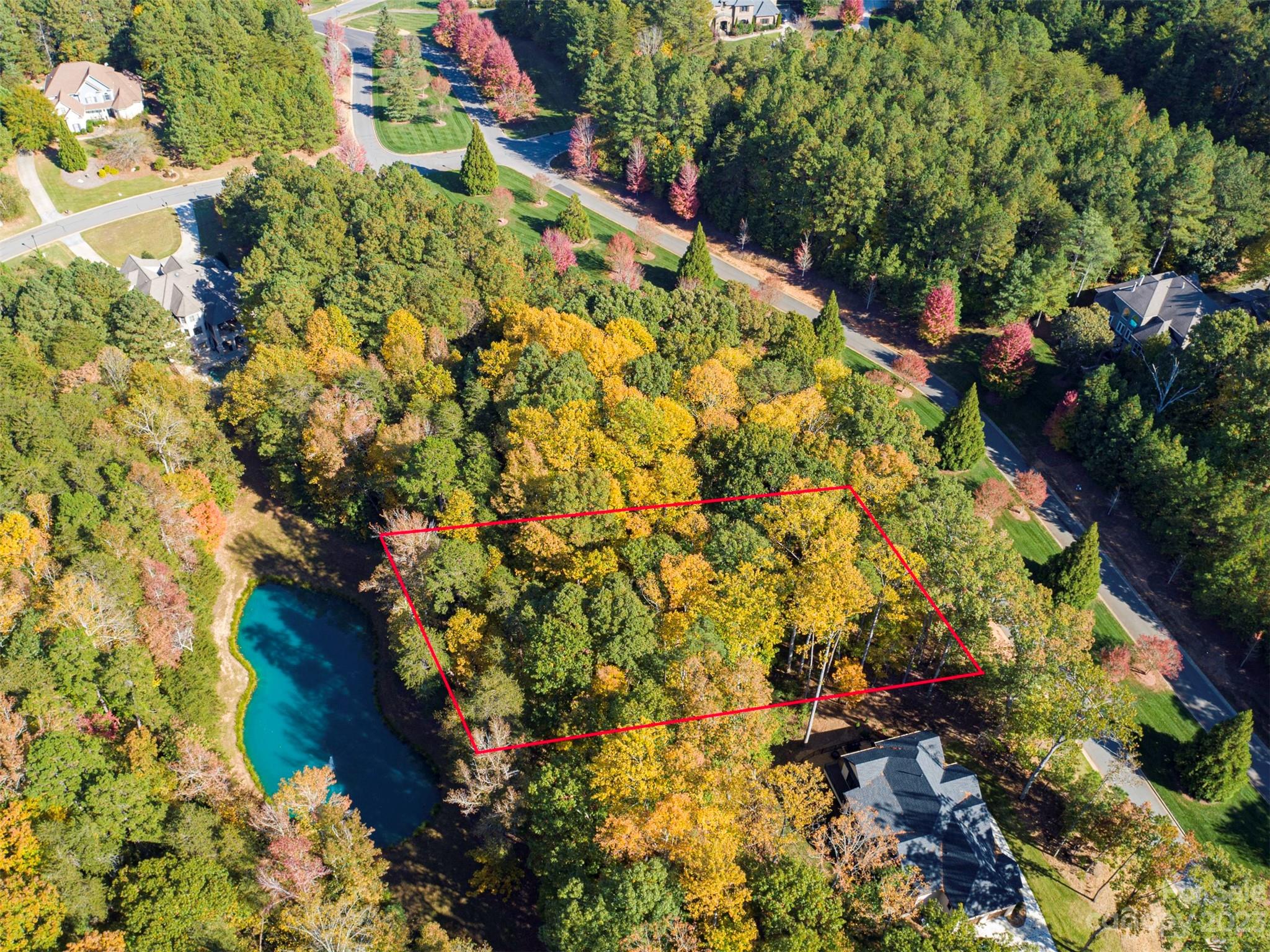 a picture of flowers