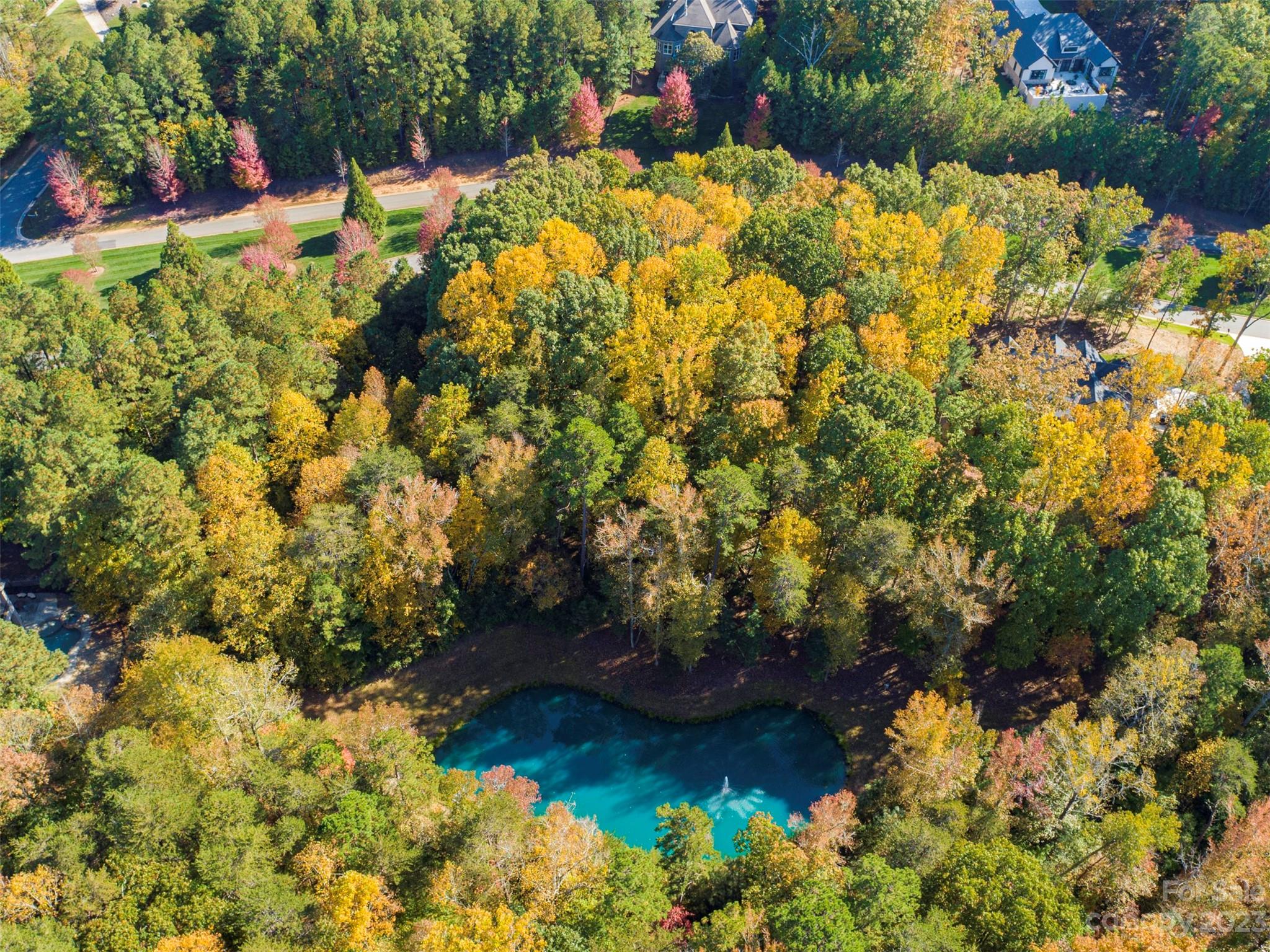1208 Reflection Pointe Boulevard Belmont, NC 28012 - Photo 19 of 24 a view of yard along with trees