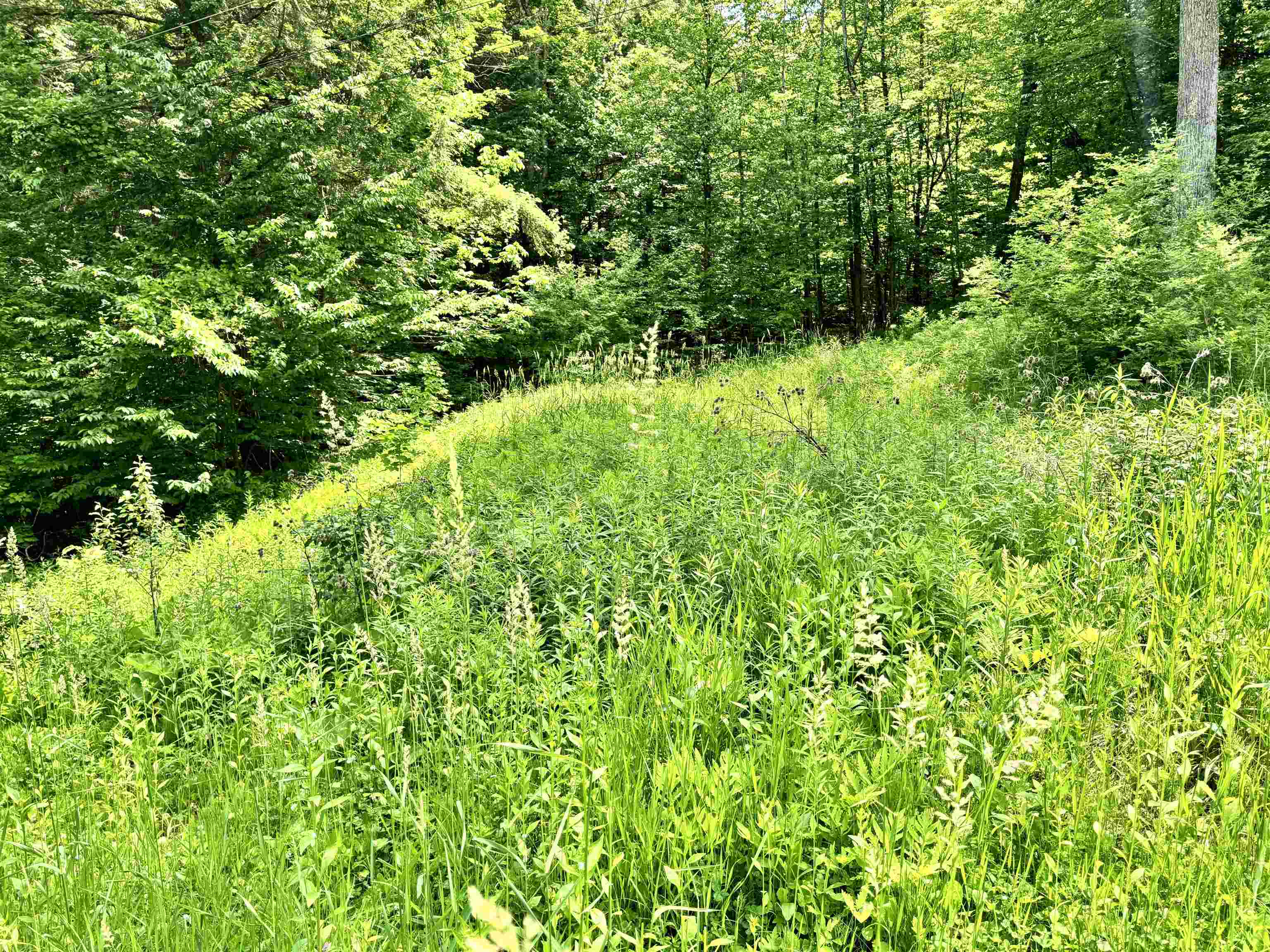 62 Foundry Road Tunbridge, VT 05077 - Photo 5 of 13