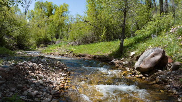 View of local wilderness featuring a large body of water