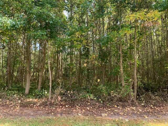 D Cheriton Cross Road, Unit D Cape Charles, VA 23310 - Photo 18 of 37