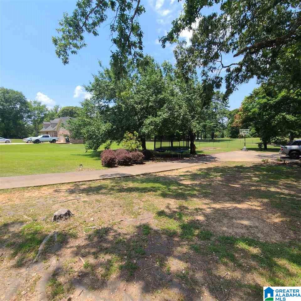740 Big Rock Road Pell City, AL 35128 - Photo 20 of 24
